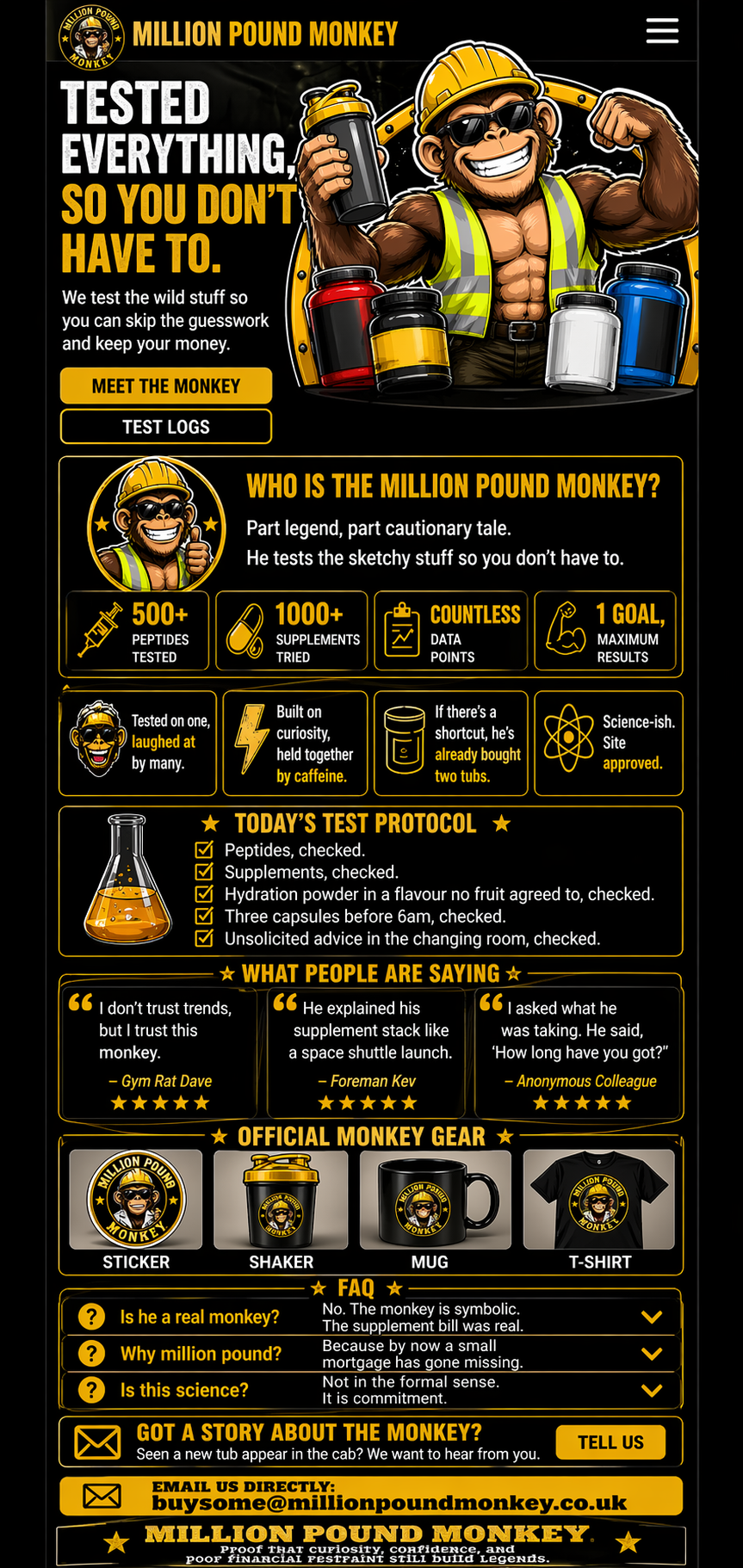 Million Pound Monkey landing page design